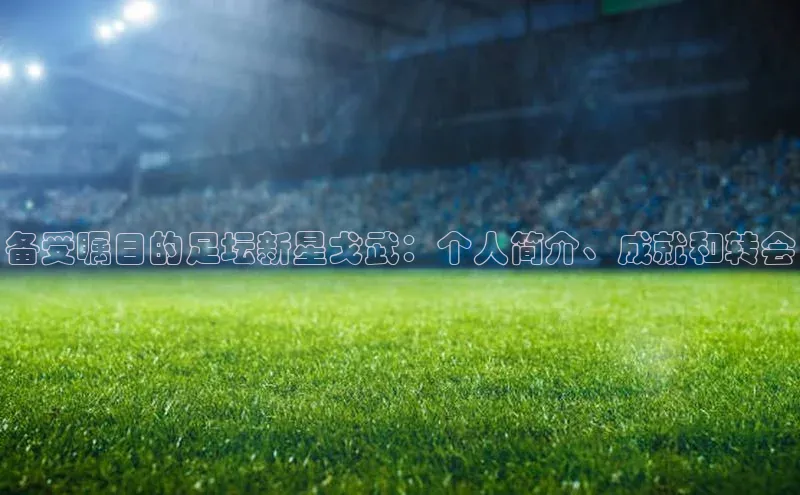 九游官网首页登录入口ARGA公司备受瞩目的足坛新星戈武：个人简介、成就和转会