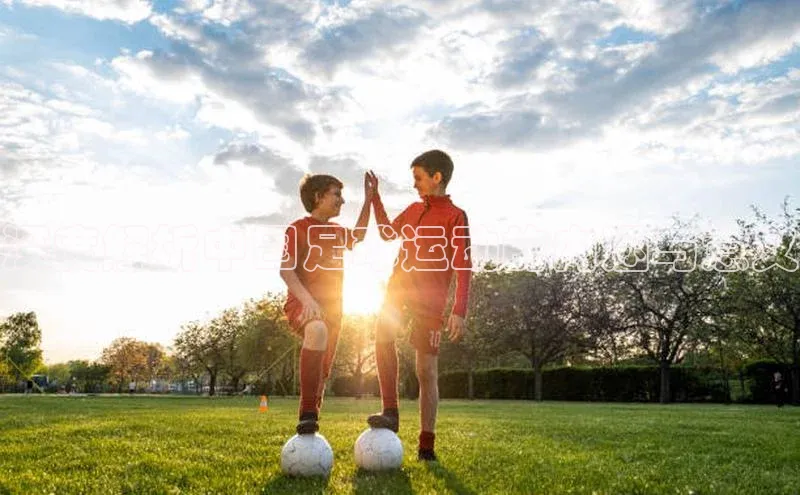 九游官网首页登录入口歌力思深度解析中国足球运动的内涵与意义