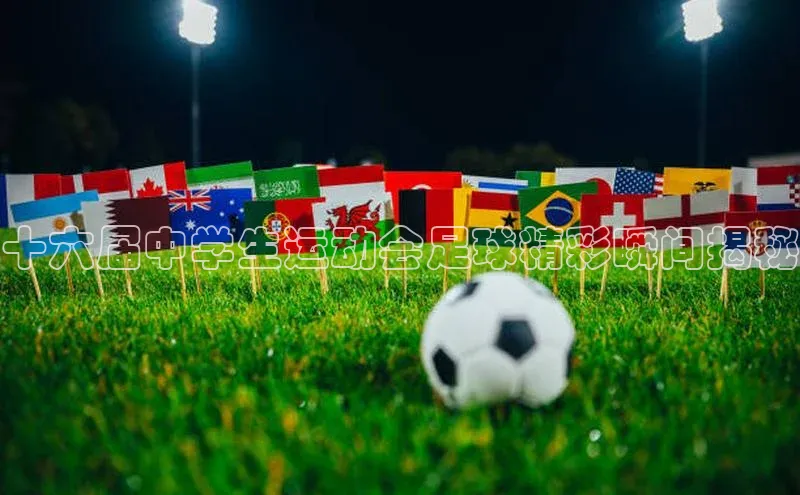 九游会登录j9入口官网58同城十六届中学生运动会足球精彩瞬间揭秘