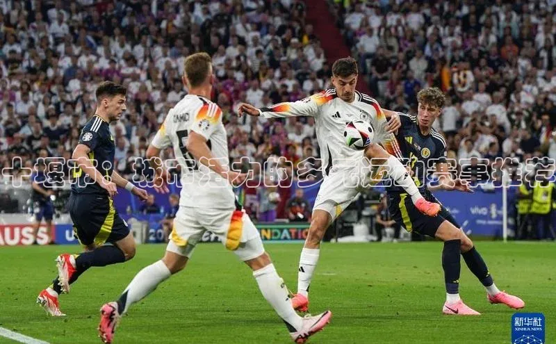 九游官网首页登录入口普信公司十堰市：城市活力的多元运动赛事推荐