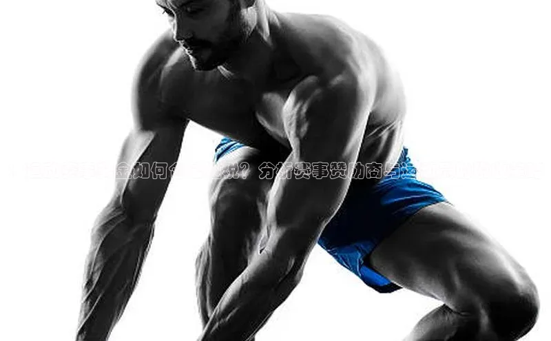 九游娱乐在线登入人口携程：运动赛事奖金如何合法避税？分析赛事赞助商与运动员的税收策略