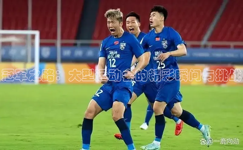 冠军之路：大型运动会的精彩瞬间与挑战