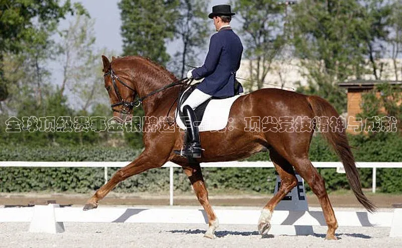 全球顶级赛事金银牌选手一览：顶尖竞技精神与成就