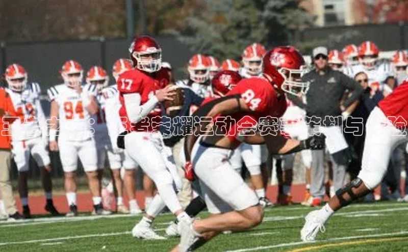 王者之力：王者荣耀运动会赛事策划与体验