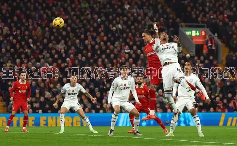 王者之路：顶级体育赛事中的突破与挑战