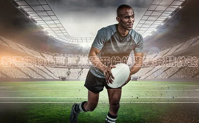 香港跑狗运动：从零开始的趣味竞猜体验