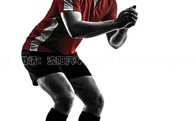 驾驭激情：沈阳汽车运动赛事精彩直播直击现场