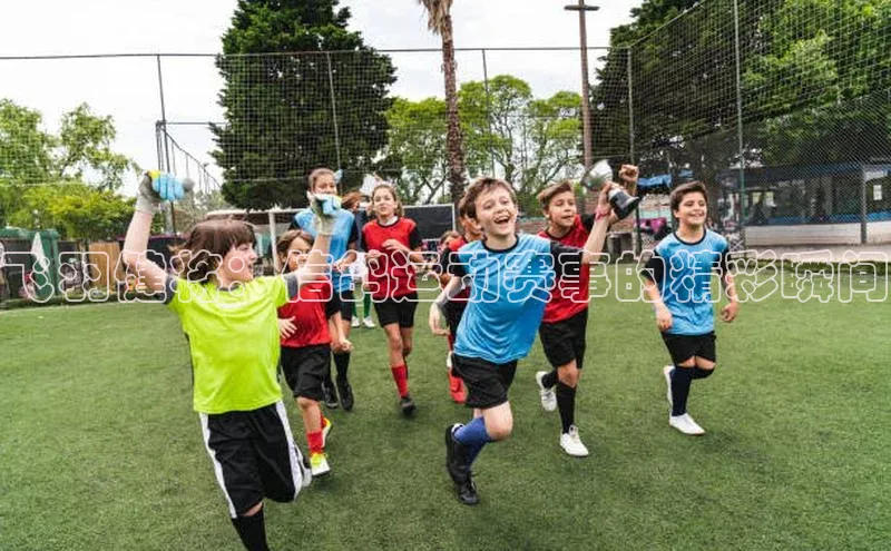 飞羽健将：信鸽运动赛事的精彩瞬间