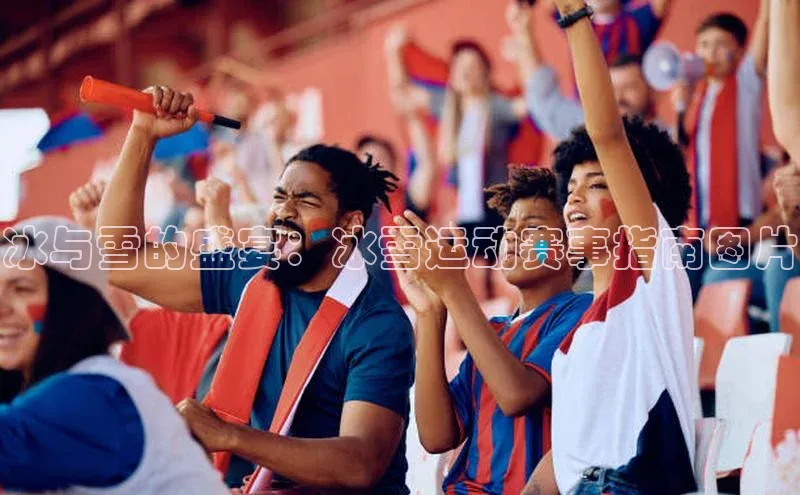 冰与雪的盛宴：冰雪运动赛事指南图片