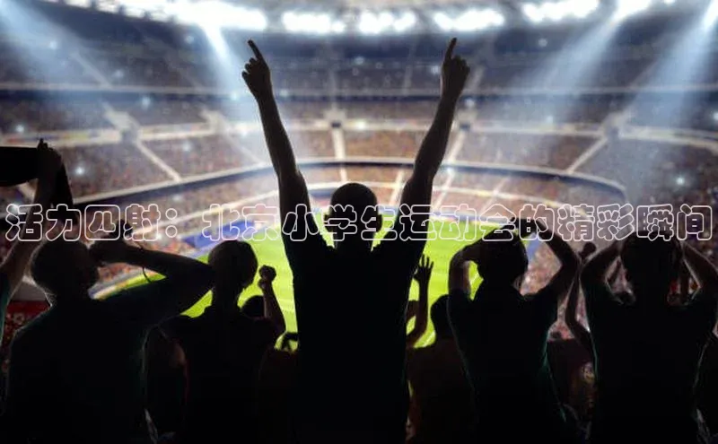 活力四射：北京小学生运动会的精彩瞬间