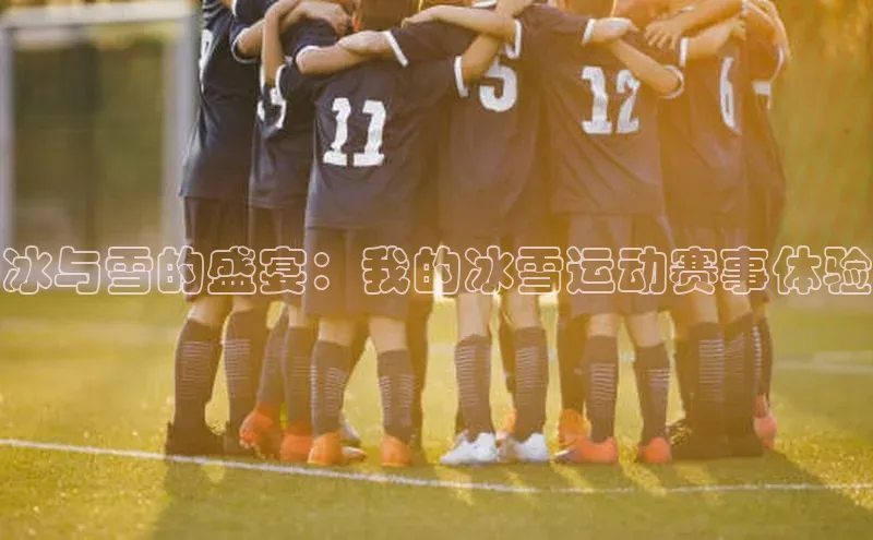 冰与雪的盛宴：我的冰雪运动赛事体验