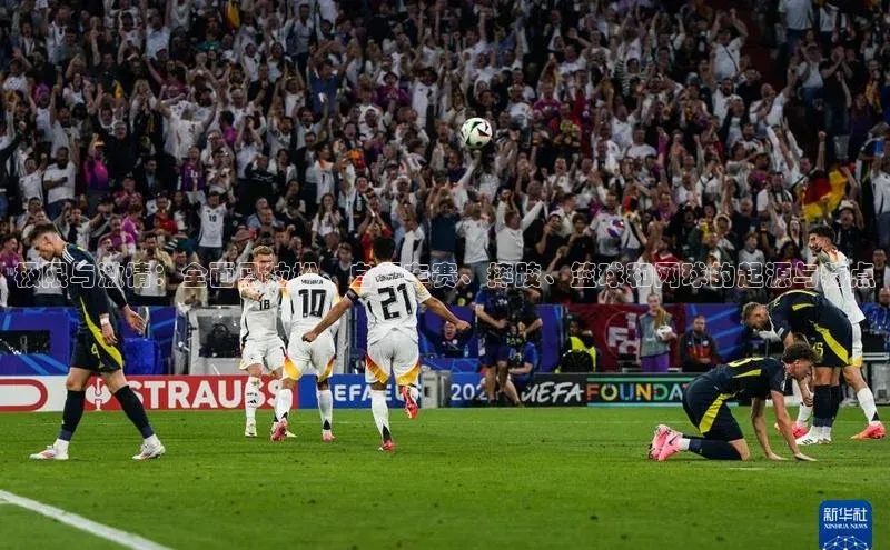 极限与激情：全面马拉松、自行车赛、摔跤、篮球和网球的起源与特点