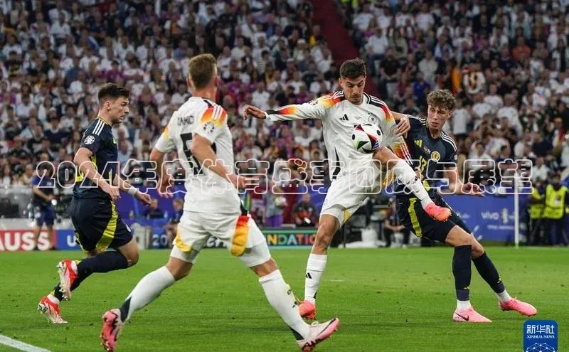 2024年度体育盛事回顾与展望