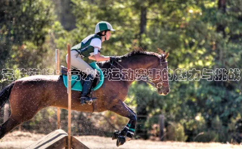 竞技巅峰：高水平运动赛事的魅力与挑战