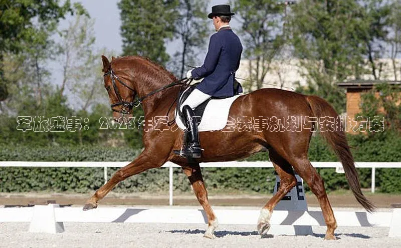 军旅盛事：2023年军人运动会赛事规划与安排方案