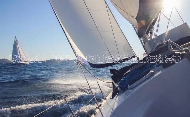 夺冠之路：2023年中国田径协会金牌运动赛事